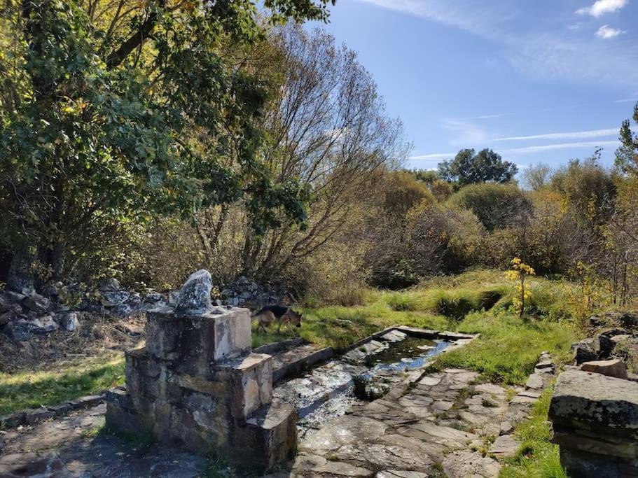 Casa Rural Tozolosolobos Otero de Bodos Екстериор снимка
