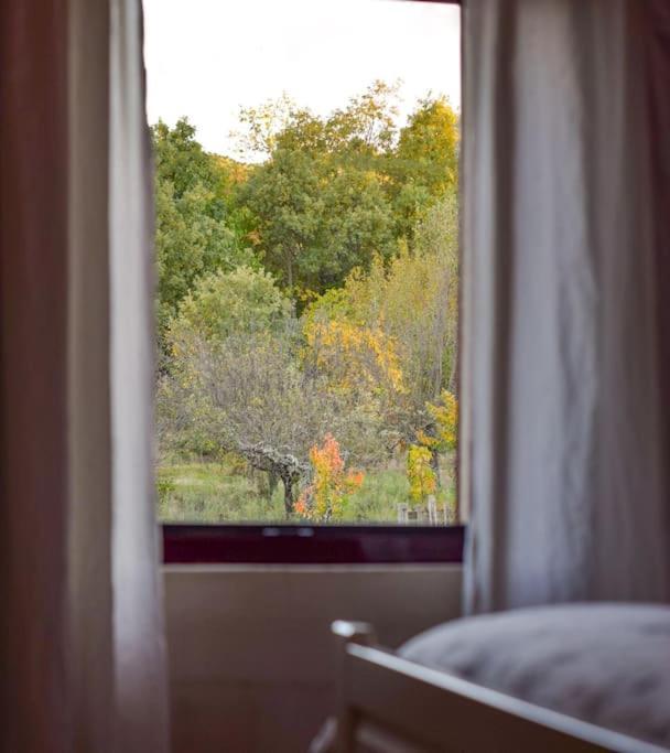 Casa Rural Tozolosolobos Otero de Bodos Екстериор снимка
